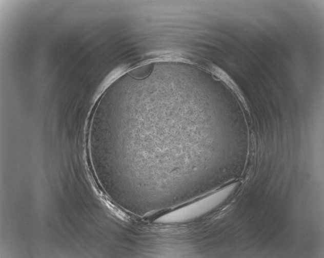 X0000078891002200611271348