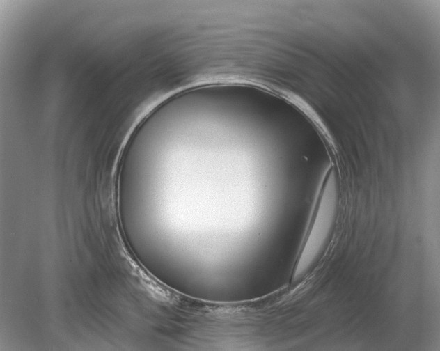 X0000078891004200611271348