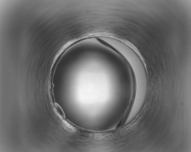 X0000078891005200611271348