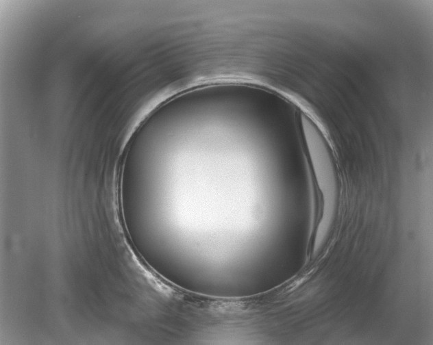 X0000078891006200611271348