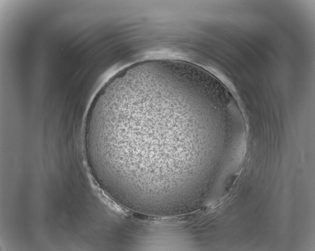 X0000078891008200611271348