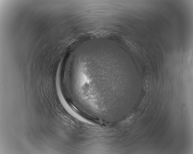 X0000078891010200611271347