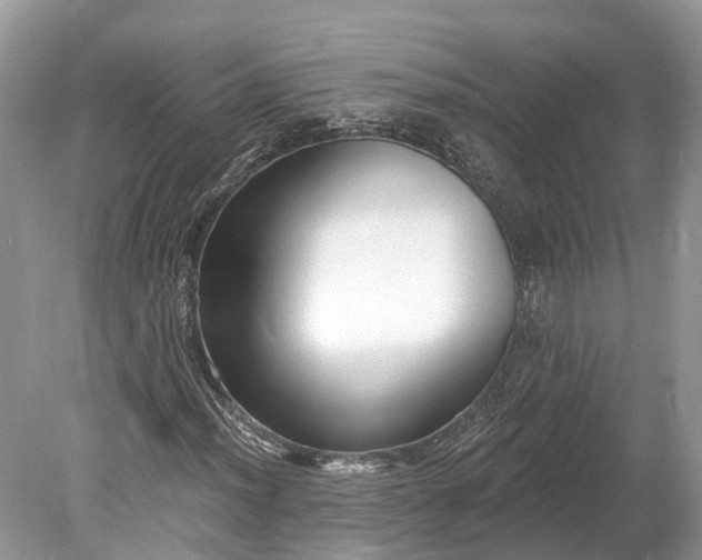 X0000078891012200611271347