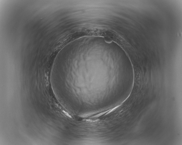 X0000078891013200611271347