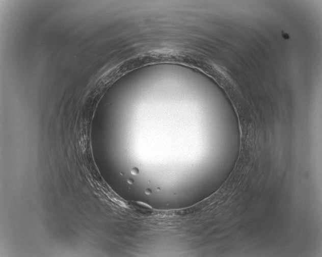 X0000078891015200611271347