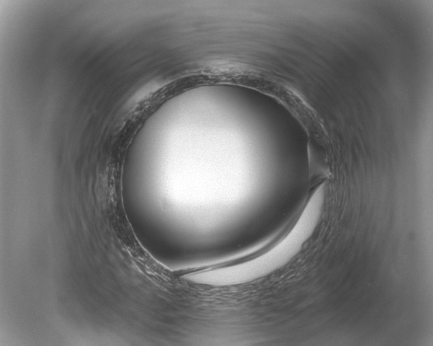 X0000078891016200611271347