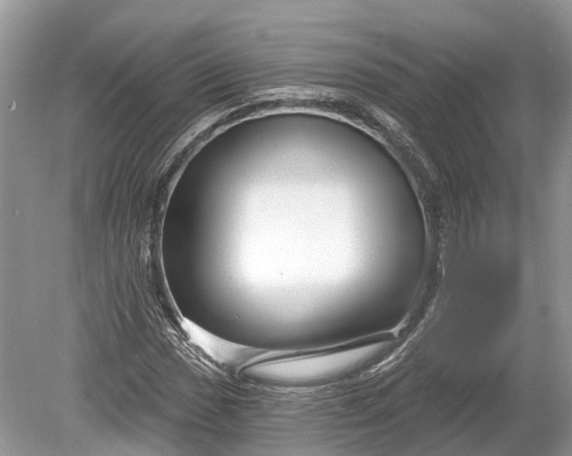 X0000078891017200611271347