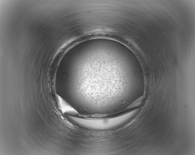 X0000078891018200611271347