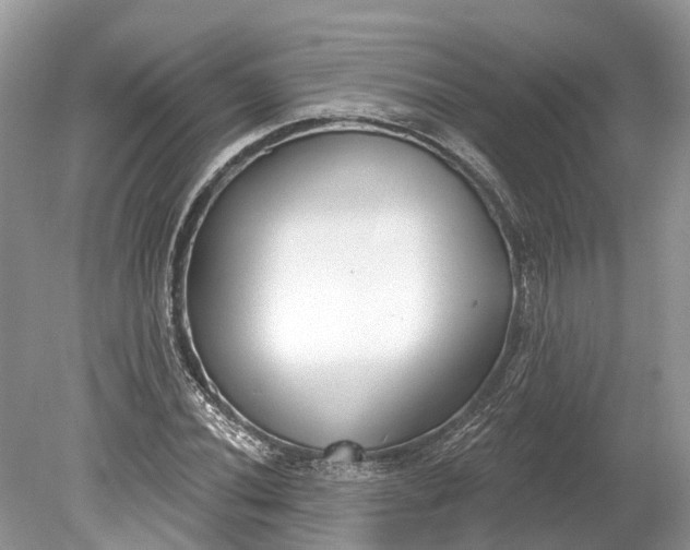 X0000078891020200611271347