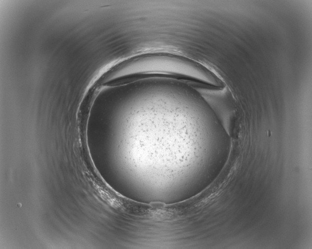 X0000078891022200611271347