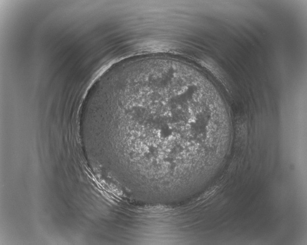 X0000078891023200611271347