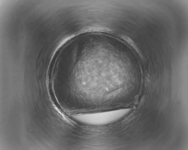 X0000078891024200611271347