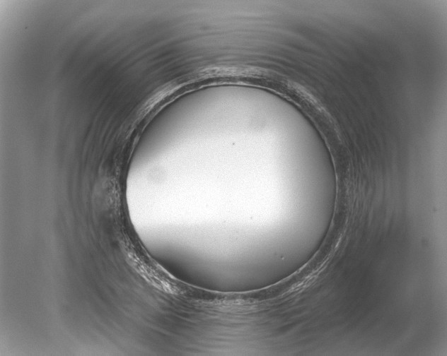 X0000078891025200611271347