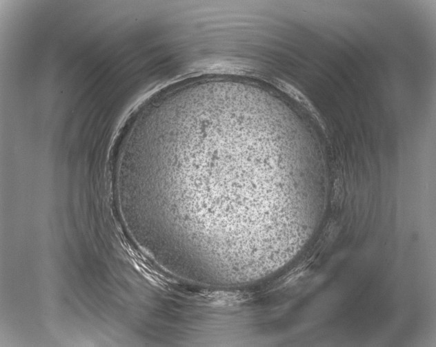 X0000078891027200611271347