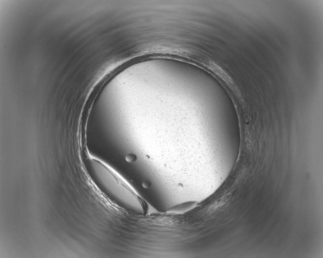 X0000078891028200611271347