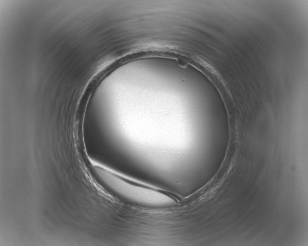 X0000078891029200611271347