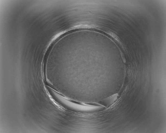 X0000078891030200611271347