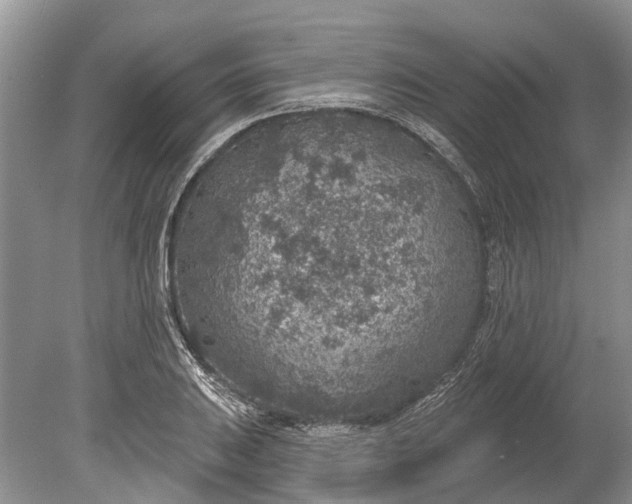 X0000078891031200611271347