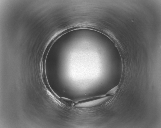 X0000078891032200611271347