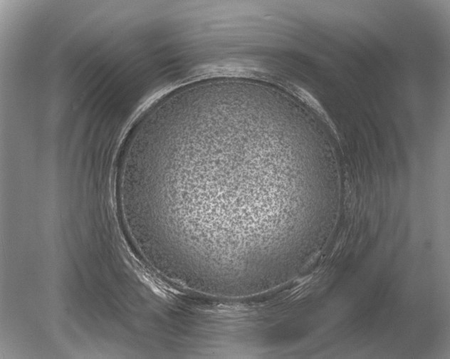 X0000078891035200611271347