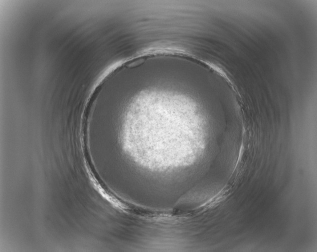 X0000078891038200611271347