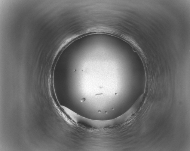 X0000078891040200611271347