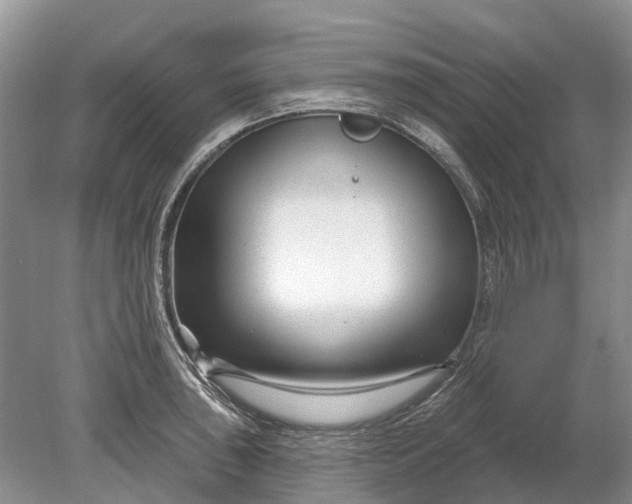 X0000078891043200611271347