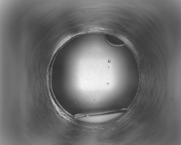 X0000078891047200611271347