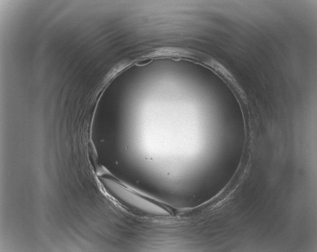 X0000078891049200611271348