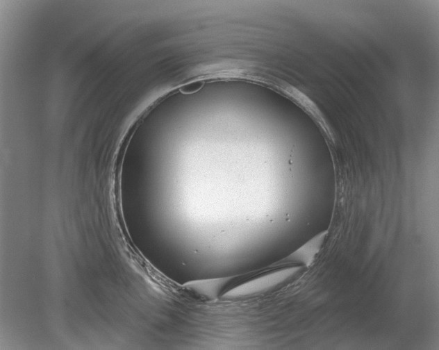 X0000078891051200611271348