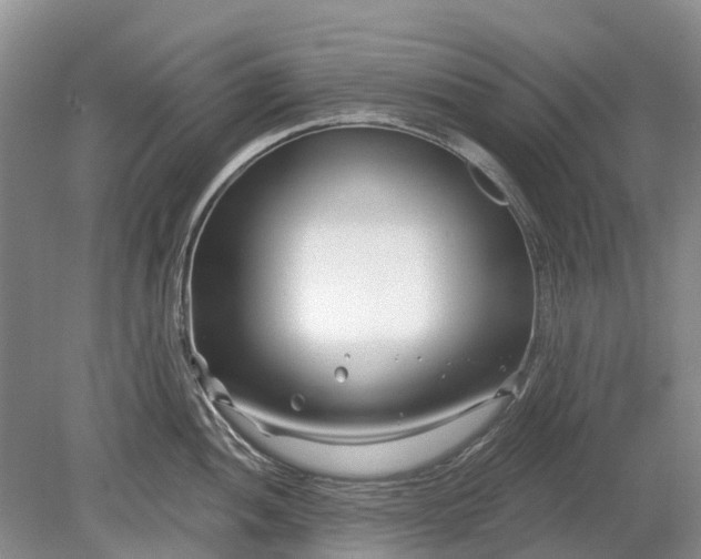 X0000078891052200611271348