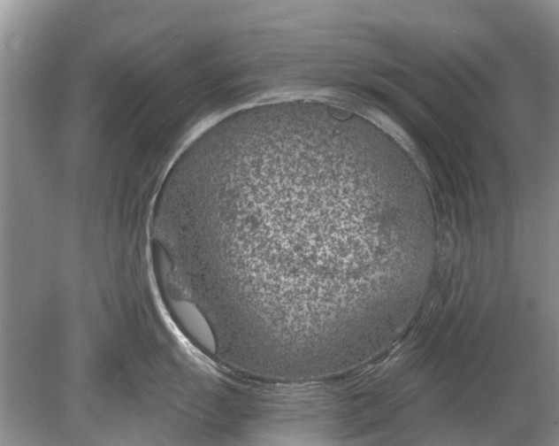 X0000078891055200611271348