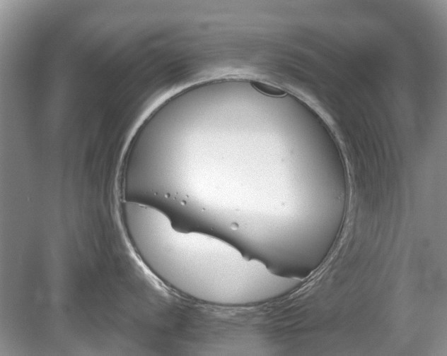 X0000078891056200611271348