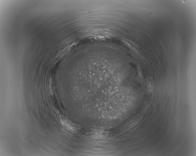 X0000078891060200611271347