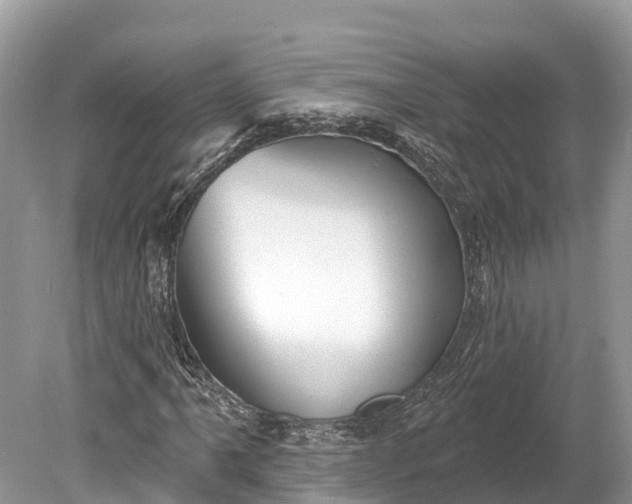 X0000078891061200611271347