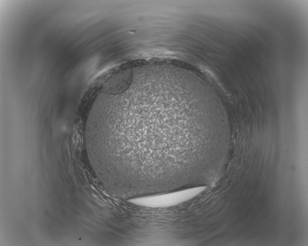 X0000078891063200611271347