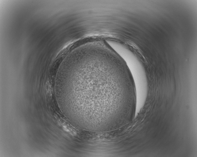 X0000078891064200611271347