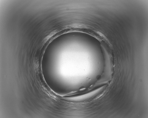 X0000078891065200611271347