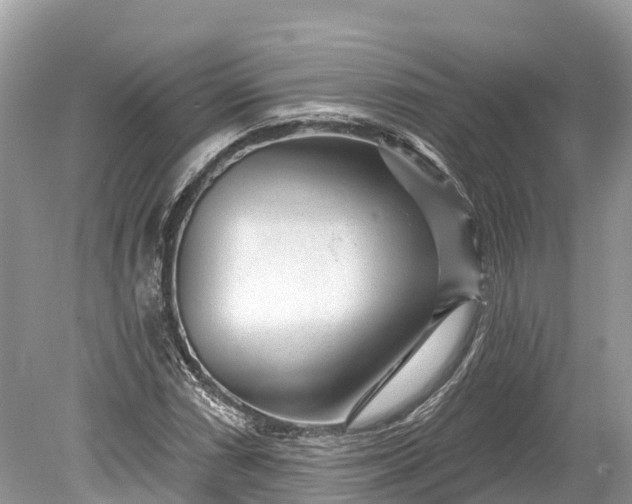 X0000078891066200611271347