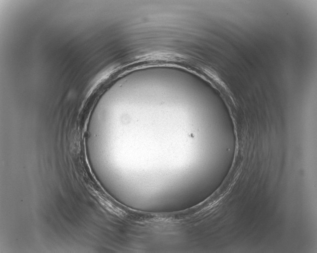 X0000078891067200611271347