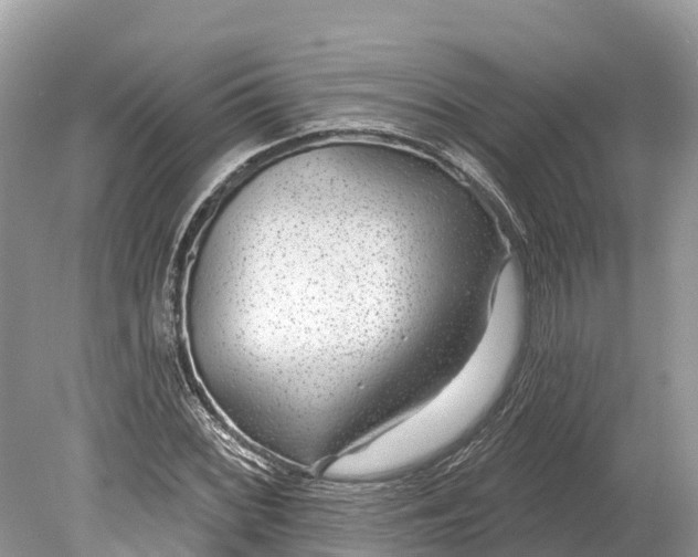 X0000078891068200611271347