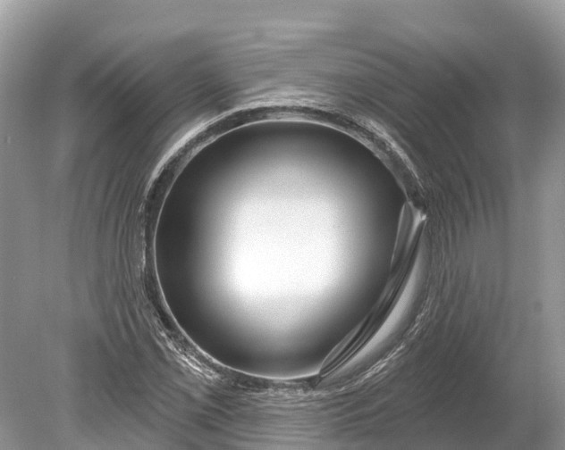 X0000078891069200611271347