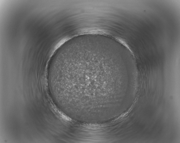 X0000078891071200611271347