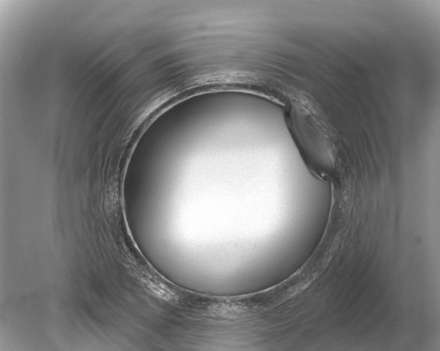 X0000078891073200611271347