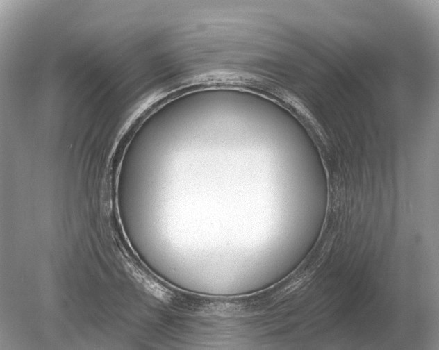 X0000078891075200611271347