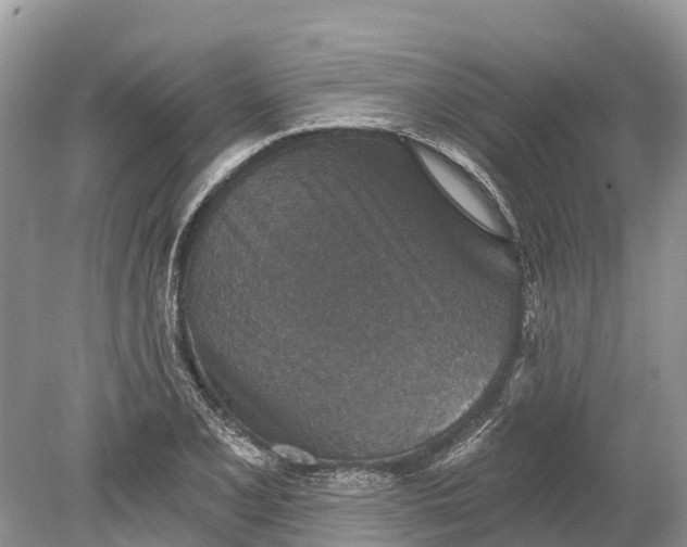 X0000078891077200611271346