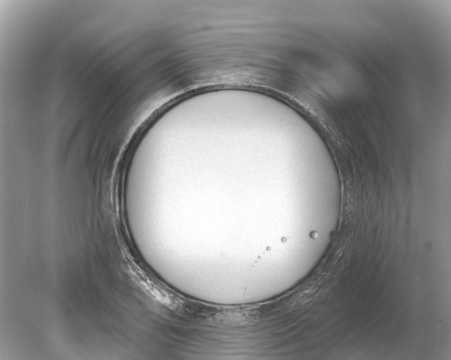 X0000078891078200611271346