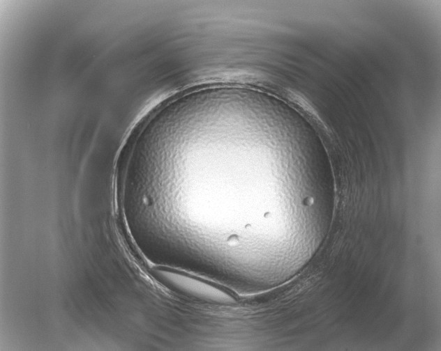 X0000078891079200611271346