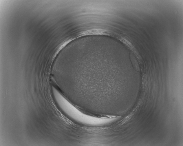 X0000078891081200611271346