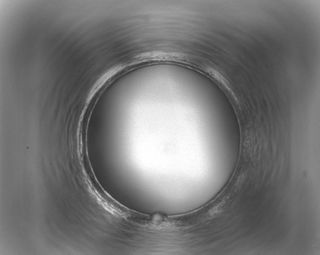 X0000078891082200611271346